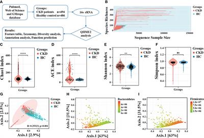 Uncovering specific taxonomic and functional alteration of gut microbiota in chronic kidney disease through 16S rRNA data